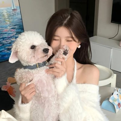 龙与虎